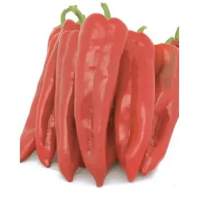 Compra ARDEI DIABLO F1 (1.000 Semințe) en la tienda online Fito Agrícola