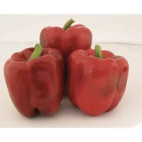 Compra ARDEI JOLLY ROSSO F1 (1.000 SEMINȚE) en la tienda online Fito Agrícola