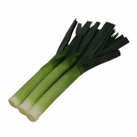 Compra PUERRO EXETER F1 (10.000 Semillas) en la tienda online Fito Agrícola