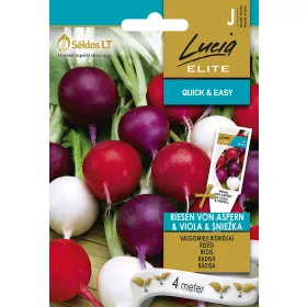 Compra RIDICHE RIESEN VON ASPERN, VIOLA, SNIEŽKA PE BANDĂ SEMĂNĂTOARE (4 Metri). en la tienda online Fito Agrícola