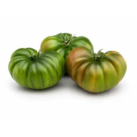 Compra TOMATE DUMAS F-1 (1.000 semințe). en la tienda online Fito Agr&iacute;cola