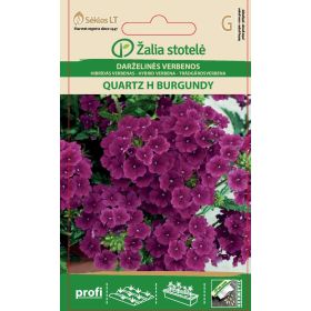 Compra VERBENA QUARTZ BURGUNDY F1 (15 Semillas). en la tienda online Fito Agrícola