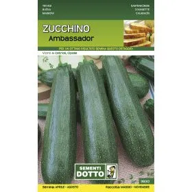 Compra DOVLECEL AMBASSADOR F1 (3,4 - 5 gr.). en la tienda online Fito Agrícola