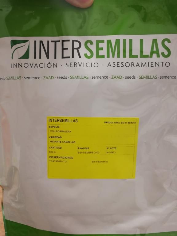 Kale: La Verdura De Moda Es Una Berza Gallega - Foto 13