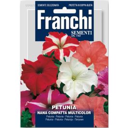 Semi Di Petunia Compacta Multicolore - Per Bordure, Vasi E Aiuole Fiorite - Foto 12