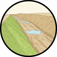 revegetacion_y_restauracion